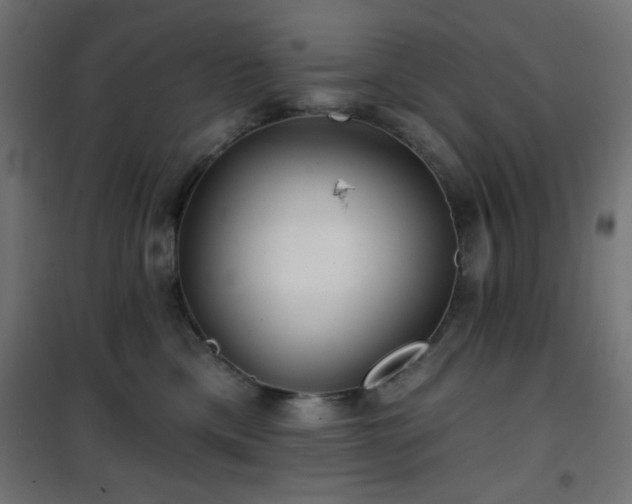 X0000101450425200807071410