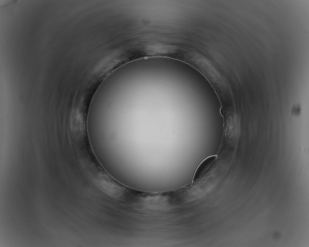 X0000101450426200807071410
