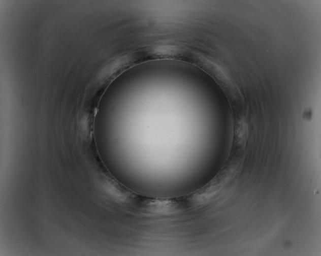 X0000101450428200807071410
