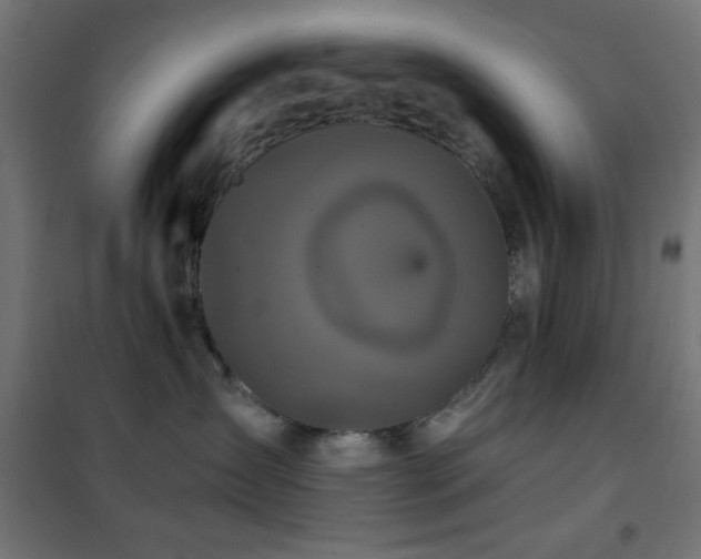 X0000101450431200807071410