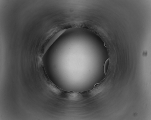 X0000101450432200807071410