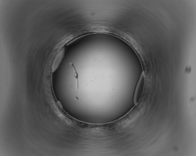 X0000101450433200807071409
