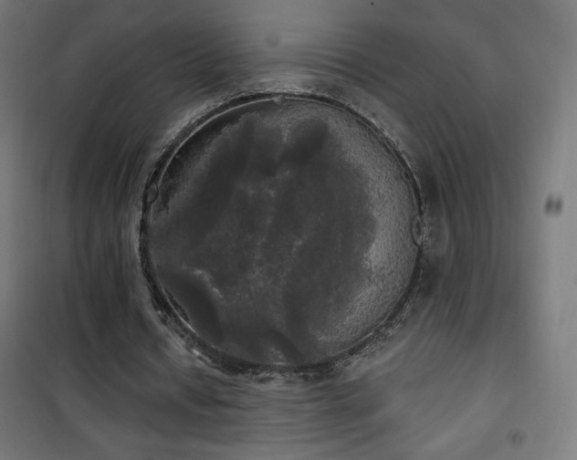 X0000101450434200807071409