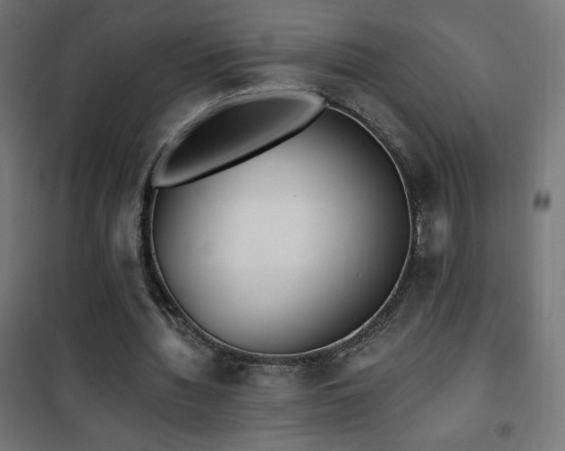 X0000101450436200807071409