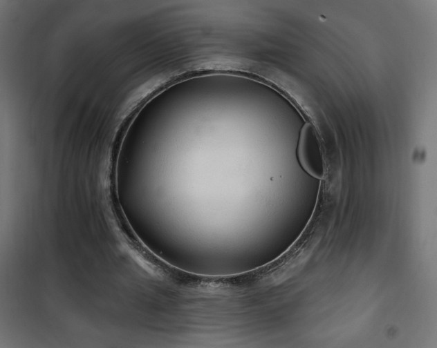 X0000101450437200807071409