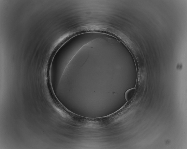 X0000101450438200807071409