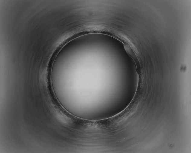 X0000101450439200807071409