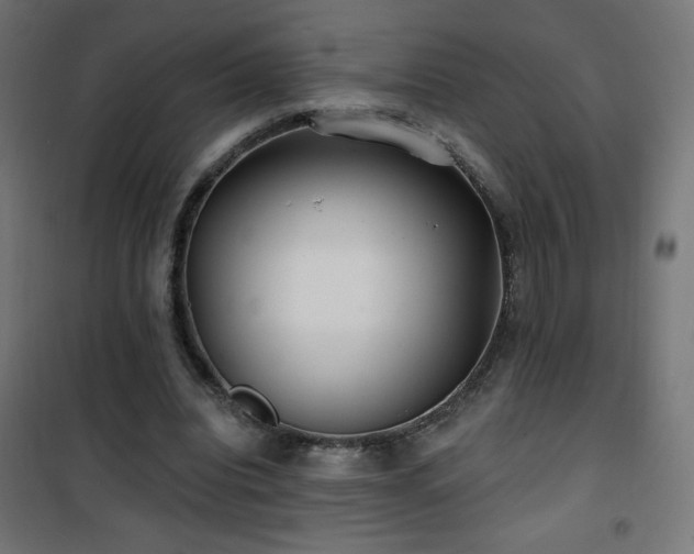 X0000101450440200807071409