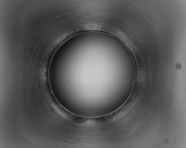 X0000101450441200807071409