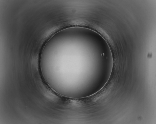 X0000101450442200807071409