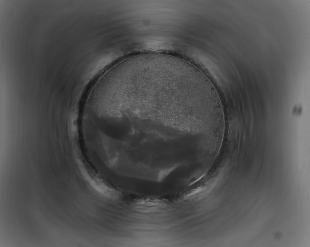X0000101450443200807071409