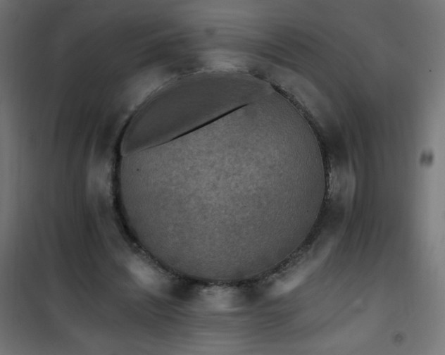 X0000101450444200807071409