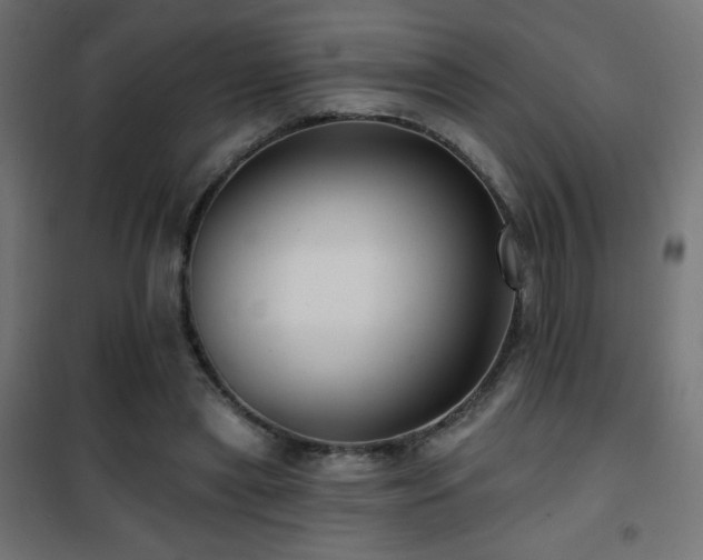 X0000101450445200807071409