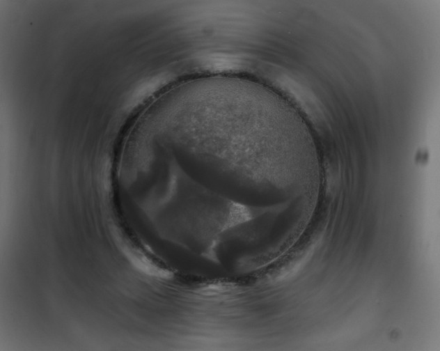 X0000101450447200807071409