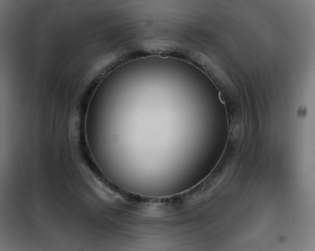 X0000101450448200807071409