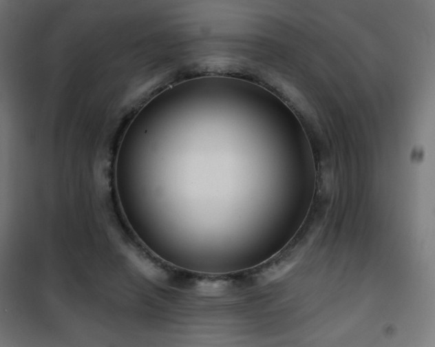 X0000101450450200807071410