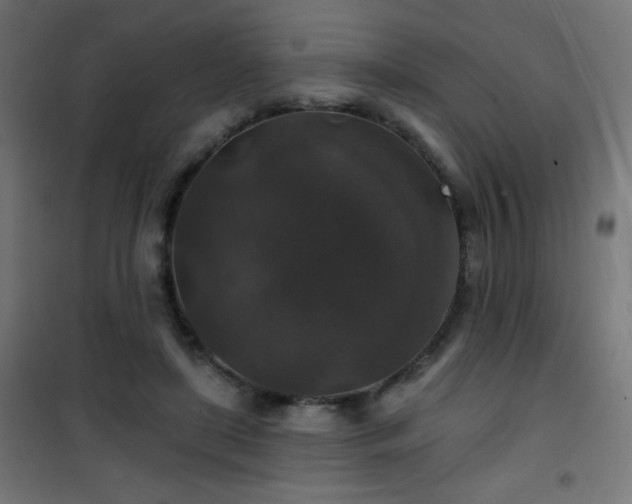 X0000101450451200807071410