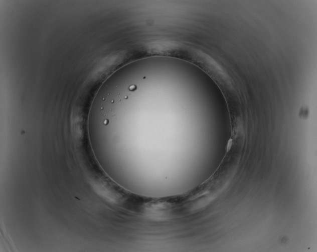 X0000101450452200807071410