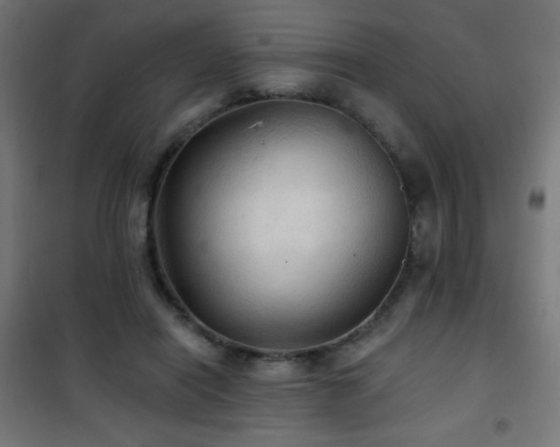 X0000101450454200807071410