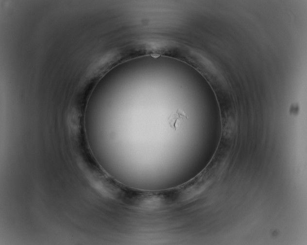 X0000101450456200807071410