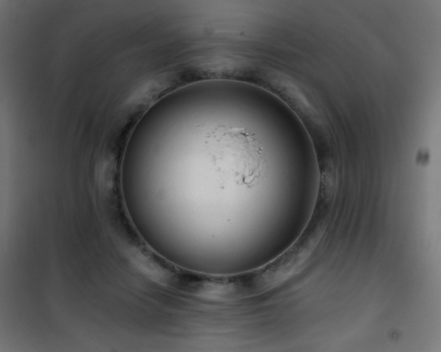 X0000101450458200807071410