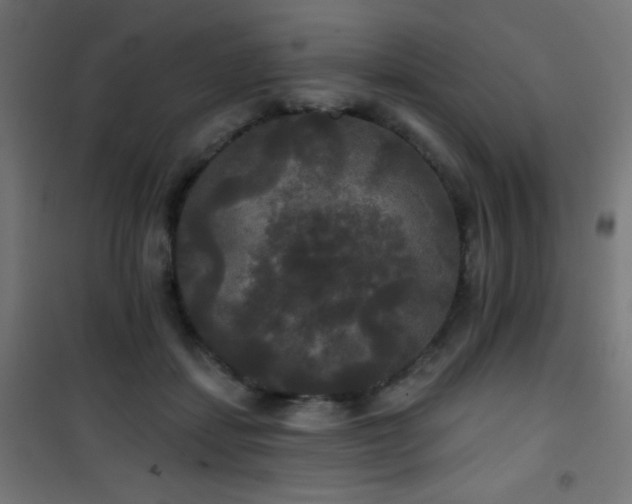 X0000101450459200807071410