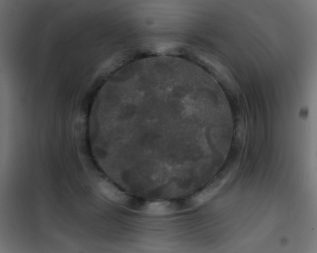 X0000101450461200807071410