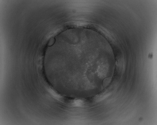 X0000101450462200807071410