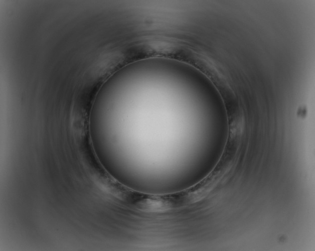 X0000101450464200807071410