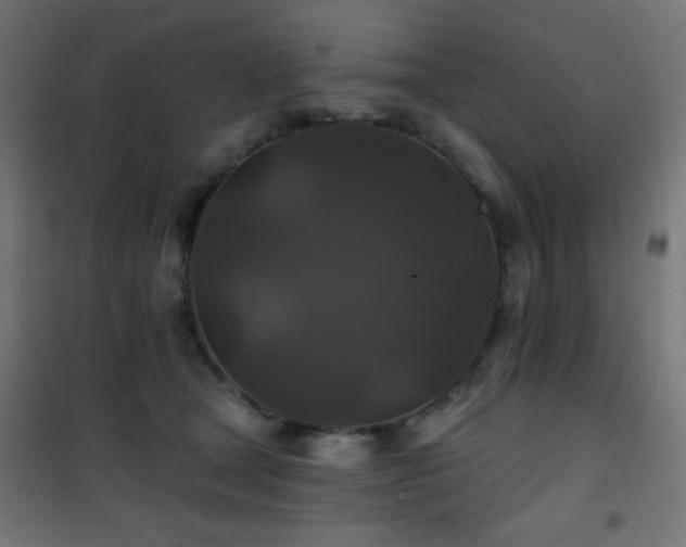 X0000101450465200807071410