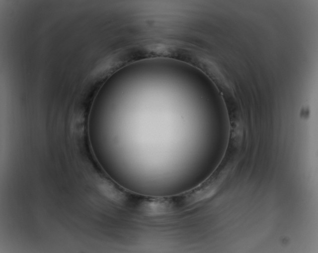 X0000101450466200807071410