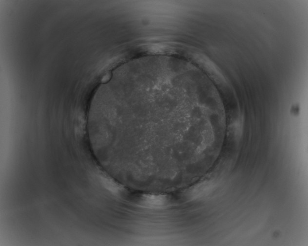 X0000101450469200807071410