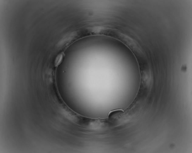X0000101450470200807071410