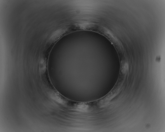 X0000101450471200807071410