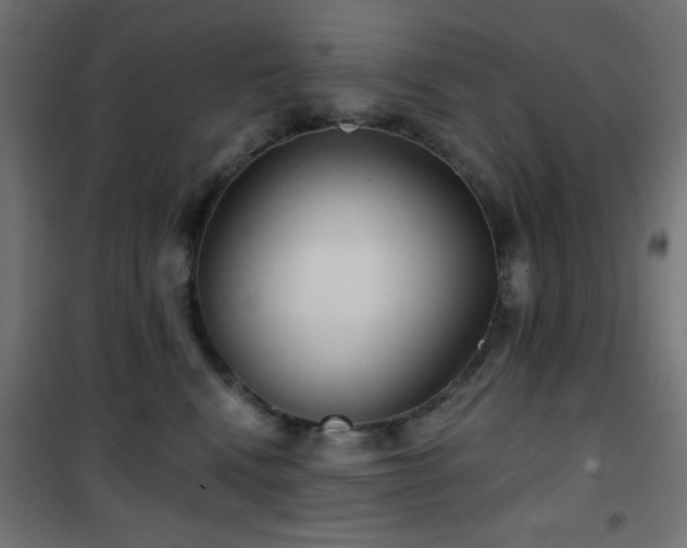 X0000101450472200807071410