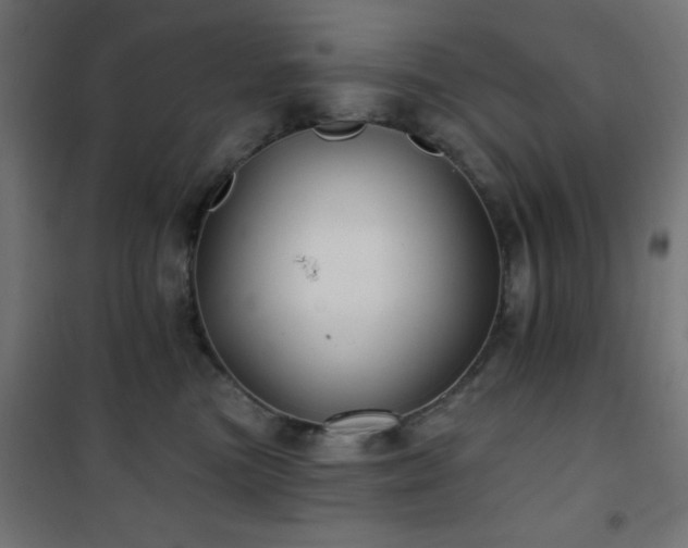 X0000101450473200807071410