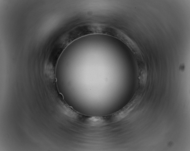 X0000101450477200807071410