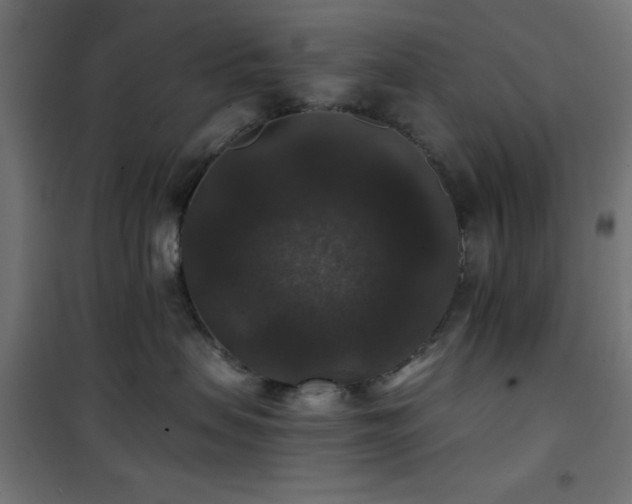 X0000101450479200807071410