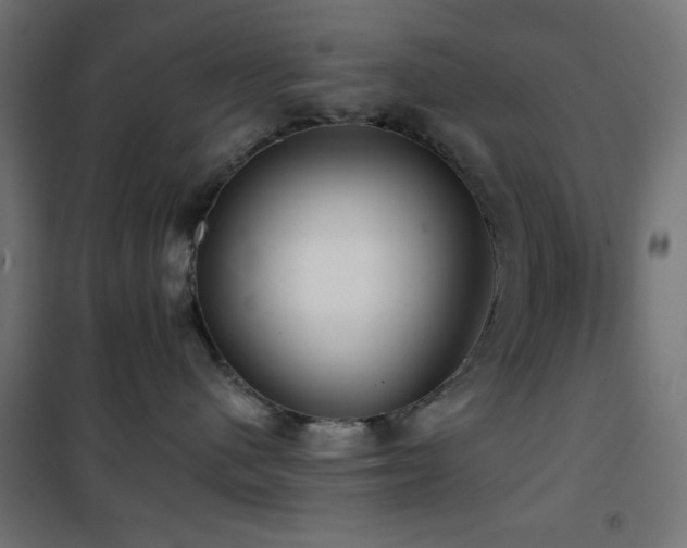 X0000101450480200807071410