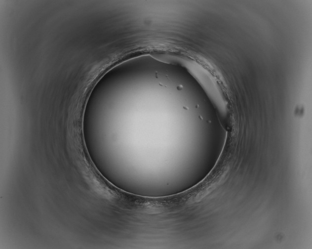 X0000101450481200807071409