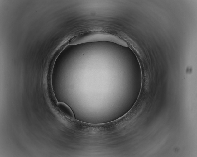 X0000101450482200807071409