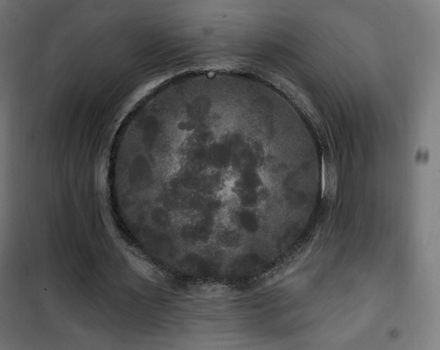 X0000101450483200807071409