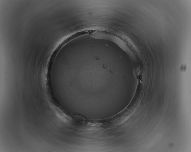X0000101450484200807071409