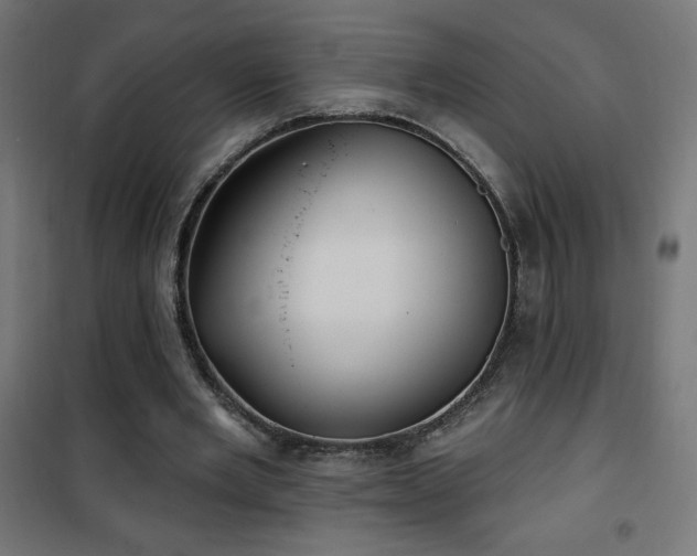X0000101450485200807071409
