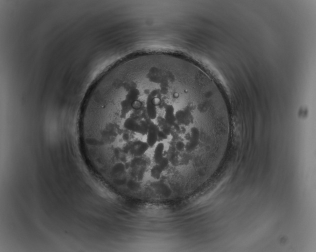 X0000101450487200807071409