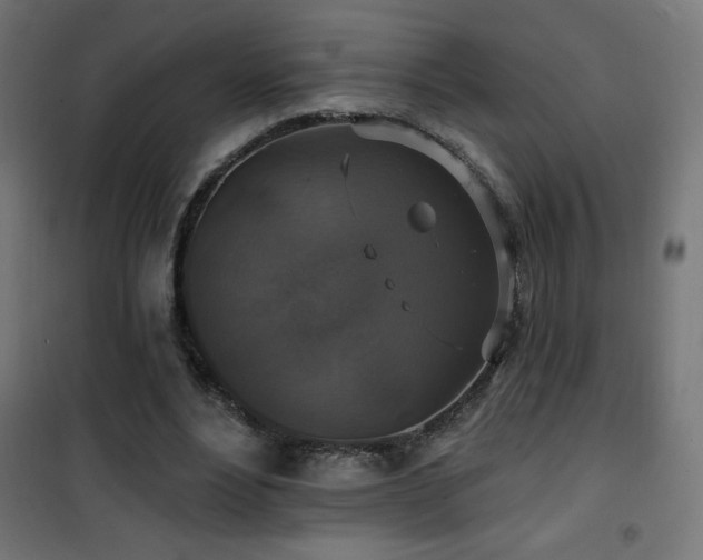 X0000101450488200807071409