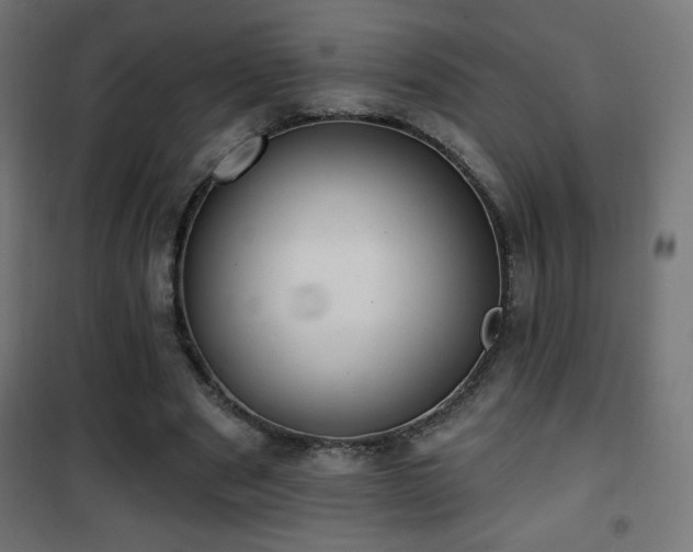 X0000101450489200807071409