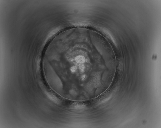 X0000101450491200807071409