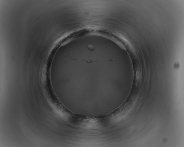 X0000101450492200807071409