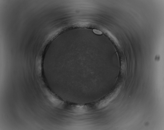 X0000101450493200807071409